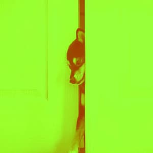 Remarkable Trio Jazz - Background for Stress Free Doggos - Doggy Relaxing Sounds