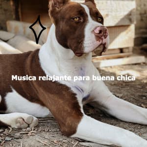 Musica relajante para buena chica - Soft Jazz Moment