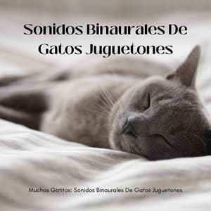 Muchos Gatitos: Sonidos Binaurales De Gatos Juguetones - Latidos Binaurales Ondas Alfa