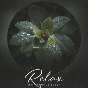 Relax - Rain Sounds Sleep