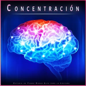 Concentración: Estudio de Fondo Ondas Alfa para la Lectura - Concentracíon