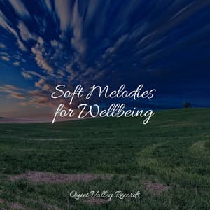 Soft Melodies for Wellbeing - Nature Chillout