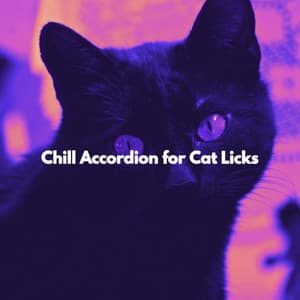 Chill Accordion for Cat Licks - Cafe Jazz Deluxe Paris