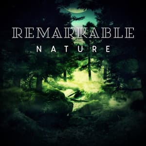 Remarkable Nature: Amazing Sounds from the Wild - Nature Ambience