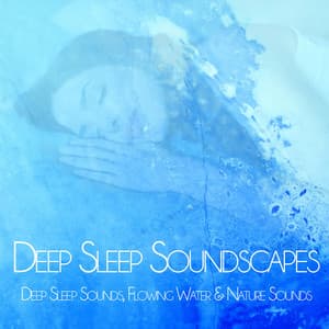 Deep Sleep Soundscapes: Deep Sleep Sounds, Flowing Water & Nature Sounds - Spa Music Relaxation