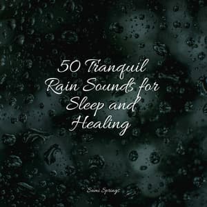 50 Tranquil Rain Sounds for Sleep and Healing - Baby Lullabies Music