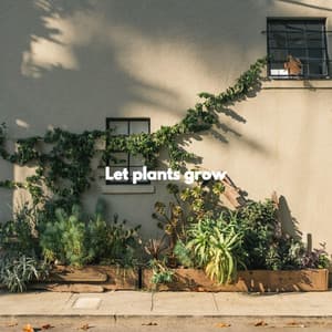 Let plants grow - Allegro Jazz Rilassante