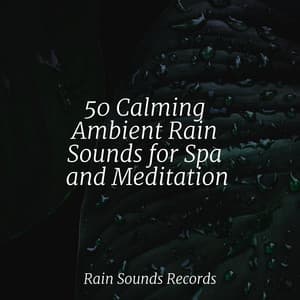 50 Calming Ambient Rain Sounds for Spa and Meditation - Ambient