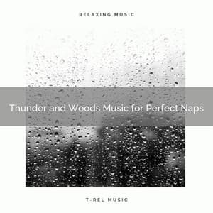 Thunder and Woods Music for Perfect Naps - Calm Rain for Sleep