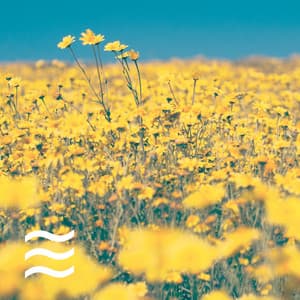 Nice Likable Sleeping Soft Pink and White Noise - Dryer Sounds