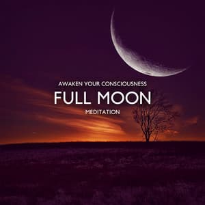 Awaken Your Consciousness - Deep Sleep Maestro Sounds