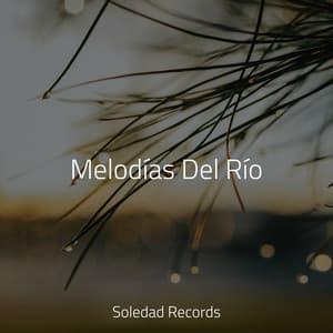 Melodías Del Río - Yoga Para Ninos