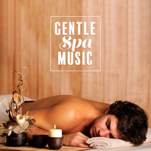 Gentle Spa Music: Wellness Relaxation, Soothing Massage, Restful Time, Meditation Sound Therapy - Zen Spa Zen Relaxation Zen Massage