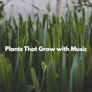 Plants That Grow with Music - Dreamtime Music