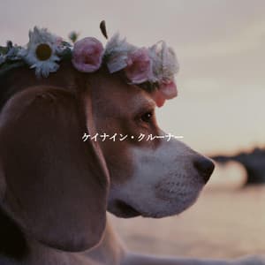 ケイナイン・クルーナー - Happy Hour Jazz