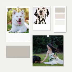 Music for Doggy Dreams - Dogs at Home