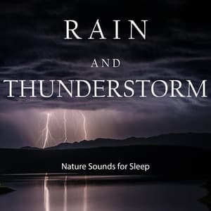 Nature Sounds: Rain and Thunderstorm Sounds for Sleep - Rain and Thunderstorm Sounds by BNLXA