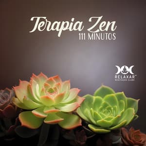 Terapia Zen 111 minutos: Trilha Relaxante, Meditação Chakra, Reiki, Sons da Natureza, Yoga Nidra - Relaxar Meditação Clube