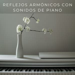 Reflejos Armónicos Con Sonidos De Piano - Adoración Música Piano
