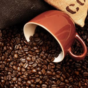 Vintage Coffeehouse: Smooth Jazz Atmosphere, Perfect Pause for Coffee & Lunch, Lounge Music for Easy Living - Coffee Shop Jazz