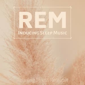 REM Inducing Sleep Music - Relaxing Stress Releaser - Sleep Meditation Dream Catcher