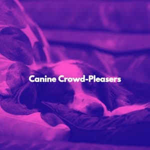 Canine Crowd-Pleasers - Japan Cafe BGM
