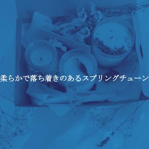 柔らかで落ち着きのあるスプリングチューン - Light Cafe Lounge