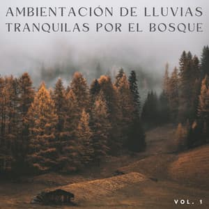 Ambientación De Lluvias Tranquilas Por El Bosque Vol. 1 - Atmósferas de Lluvia