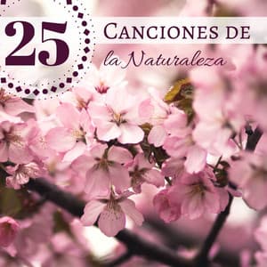 25 Canciones de la Naturaleza - Sonidos de la Naturaleza y Ruido Blanco para Relajación Profunda y Meditación - Flor de Loto