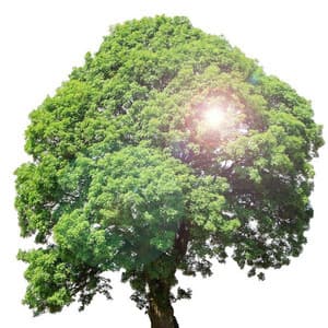 Comfortable Psychological Stability Meditation Music Collection for Meditation time and Comfort - Piano Meditation Music