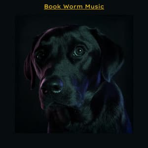 Book Worm Music - Calm Music for Studying