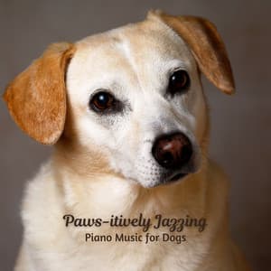Paws-itively Jazzing: Piano Music for Dogs - Deep Lounge Bar