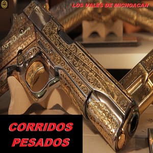 Los Vales De Michoacan - Corridos Pesados