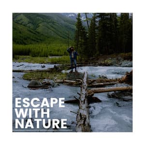 Escape with Nature - 4D Nature Recordings