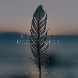 50 Spa Music Master Sounds - Spa & Spa