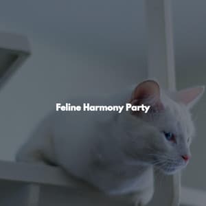 Feline Harmony Party - Elevator Music Project