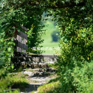 温室のグルーヴ - Relaxing Jazz Cafe