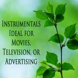 Instrumentals Ideal for Movies, Television, Or Advertising - Steve Petrunak