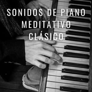 Sonidos De Piano Meditativo Clásico - Música Relajada de Piano