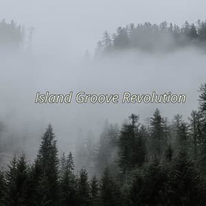 Island Groove Revolution - Minds United