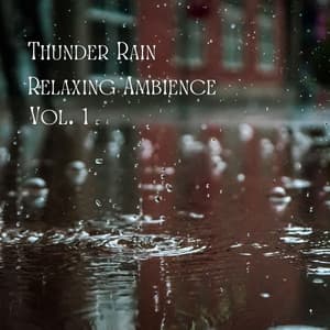 Thunder Rain Relaxing Ambience Vol. 1 - Native American Nature