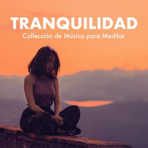 Tranquilidad: Collección de Música para Meditar, Dormir, Estudiar - Templo de la Luna