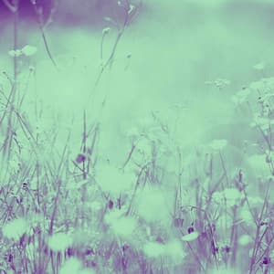 Background Music for Relaxing Ambient - Relaxing Piano Music Cool