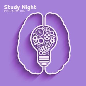 Study Night Preparation: Soothe Your Brain for Better Focus on Studying - Brain Study Music Guys