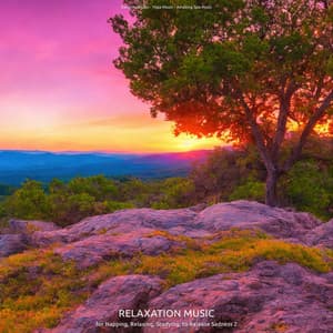 Relaxation Music for Napping, Relaxing, Studying, to Release Sadness 2 - Sleeping Music