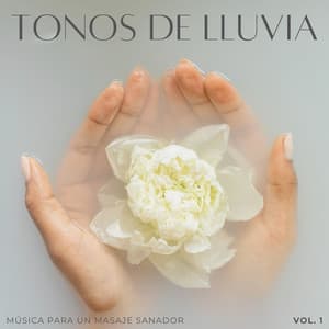 Tonos De Lluvia: Música Para Un Masaje Sanador Vol. 1 - Lluvia Instantánea