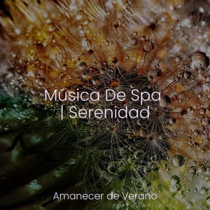 Música De Spa | Serenidad - Meditation