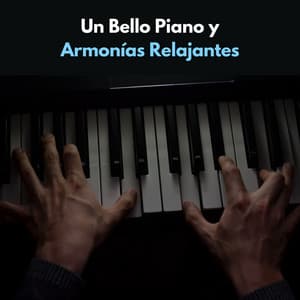 Un Bello Piano Y Armonías Relajantes - Equipo de piano relajante
