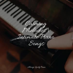 50 Piano Songs for Quiet Listening - Romantic Piano Music