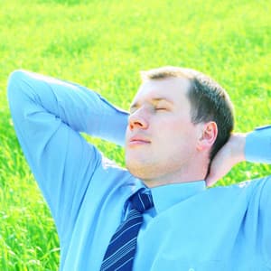 Nature Crickets Harmony: Birds and Rain in Relaxation Mode - Nature Insight